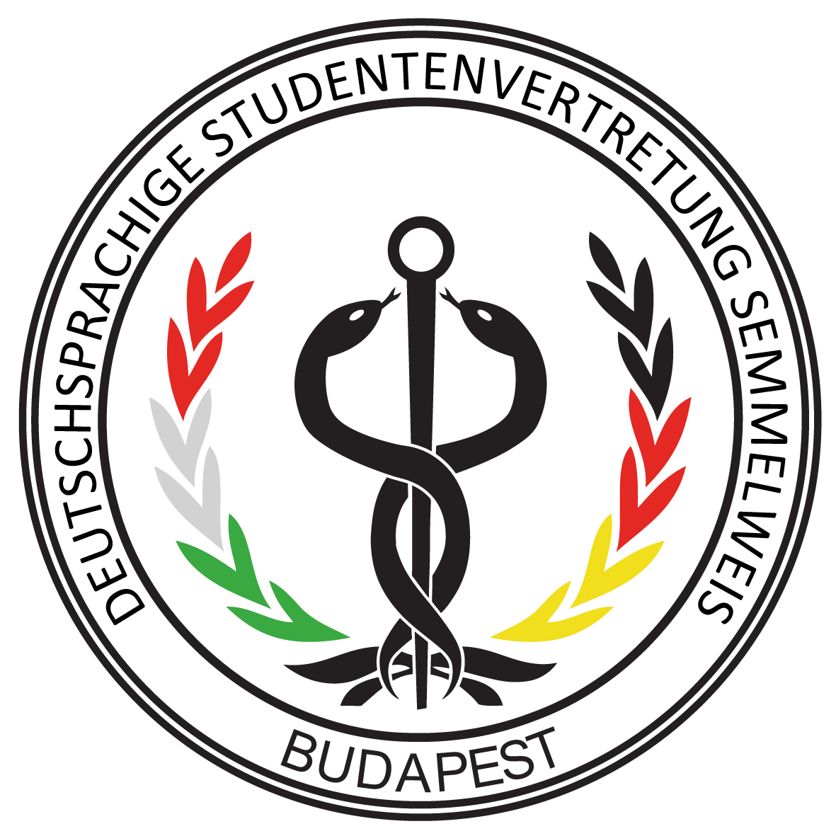 DSVS logó